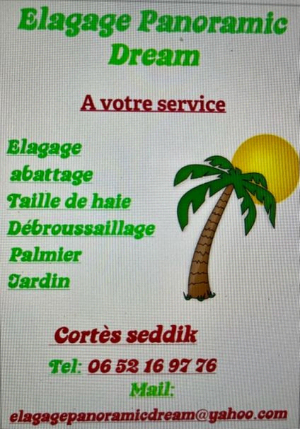MONSIEUR BENTALIA SEDDIK